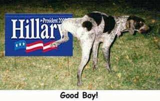 Typical Canine Reaction To Hillary For Prez Sign