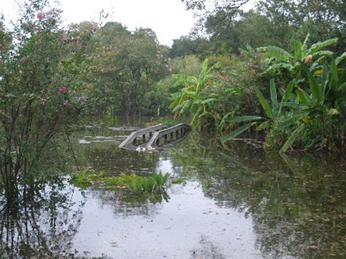 Hurricane Ike photo