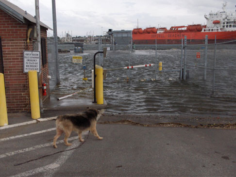 Hurricane Ike photo