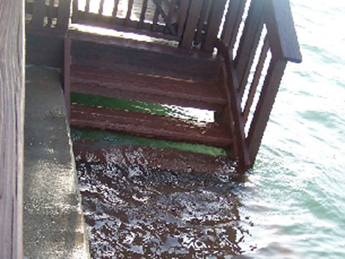 Hurricane Ike photo