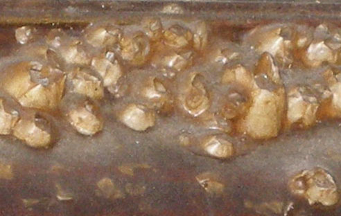 Posey's Up The Creek Seafood Steam Room and Oyster Bar on U.S. Highway 98 in Panacea, Florida